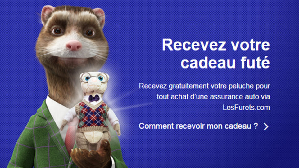 découvrez comment assurer votre véhicule tout en prenant en compte la présence de vos furets. nos conseils pour choisir une assurance auto adaptée à votre mode de vie avec des animaux de compagnie.